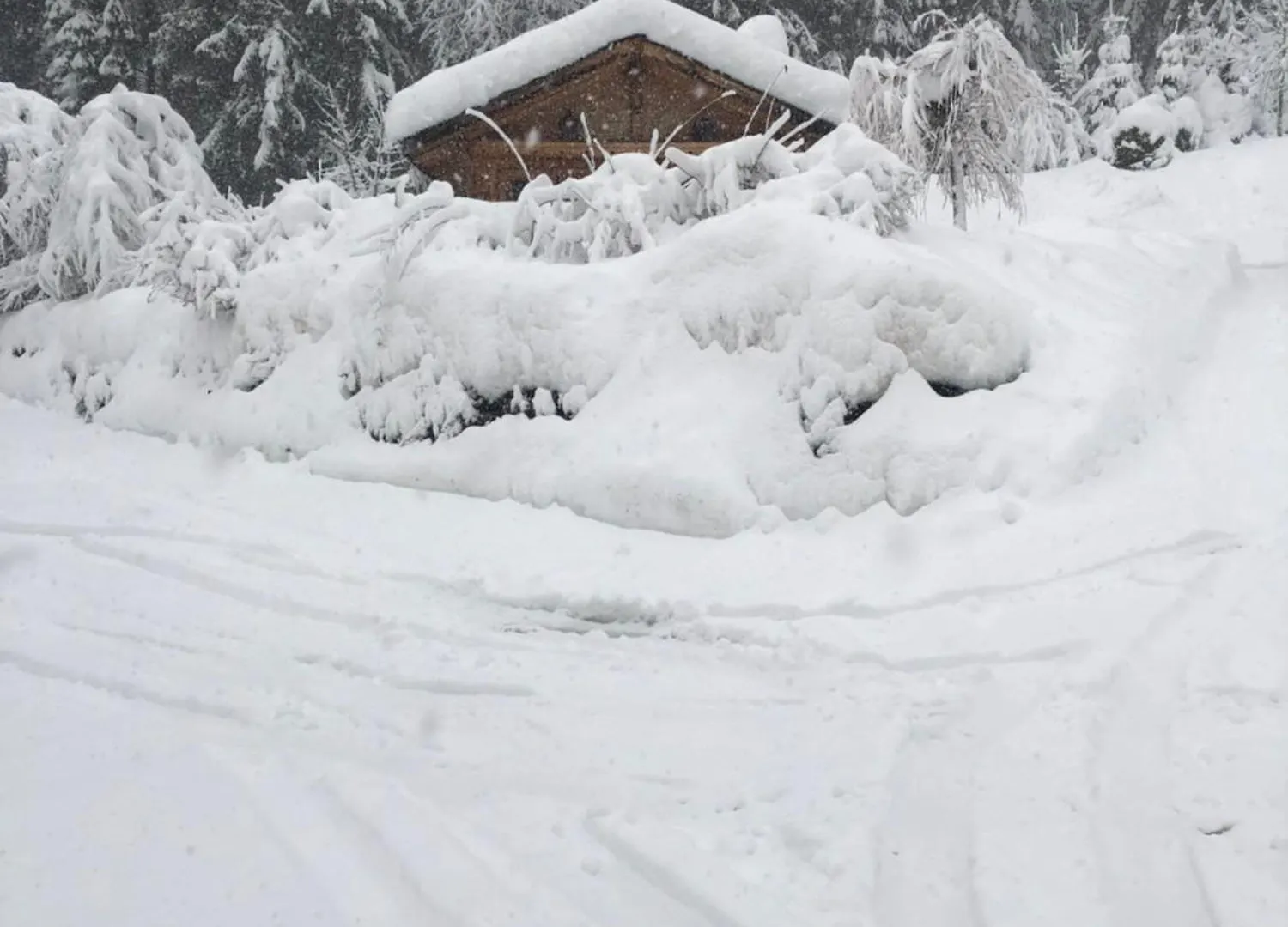 Chalet Chardon Morzine France